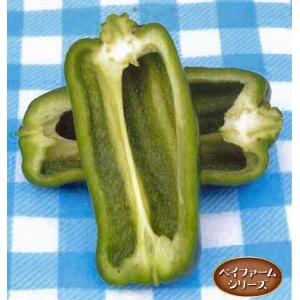 野菜の種/種子 タネなっぴー・種なしピーマン ...の詳細画像1