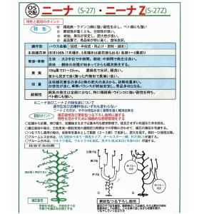 野菜の種/種子 ニーナZ S-27Z 350粒...の詳細画像1