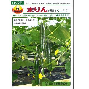 野菜の種/種子 まりん(仮称) S-32 350粒 キュウリ きゅうり （メール便