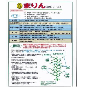 野菜の種/種子 まりん(仮称) S-32 35...の詳細画像1