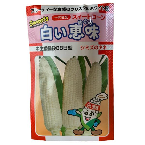 野菜の種/種子　白い恵味・とうもろこし　トウモロコシ　120粒 （メール便発送)【1月上旬頃より発送...