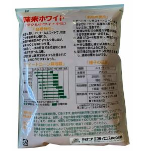 野菜の種/種子 味来ホワイト・みらいホワイト ...の詳細画像1