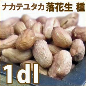 大人気！】野菜・種/種子 おおまさりネオ 落花生・生もの種 2dl(約70粒