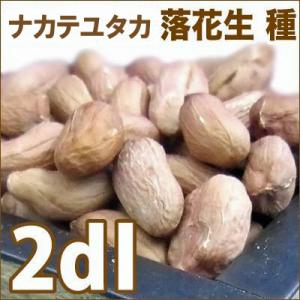 おおまさりネオ】落花生 18粒【大和農園】野菜種 ラッカセイ[春まき