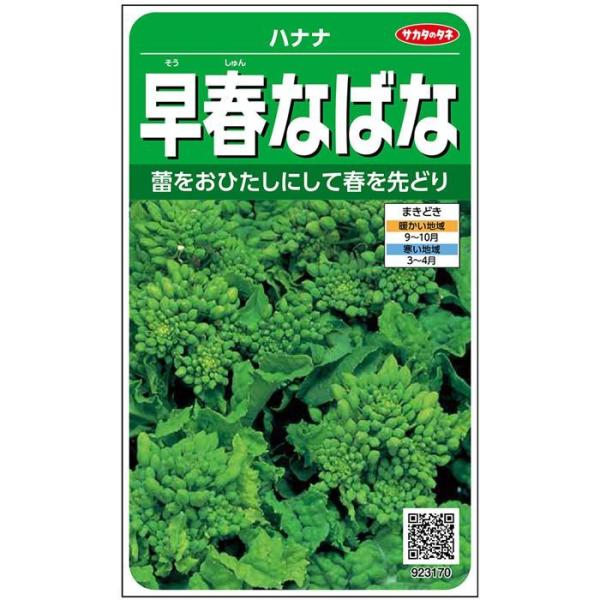 野菜の種/種子 早春なばな・ハナナ・ナバナ　菜花 4.8ml（メール便発送）サカタのタネ種苗