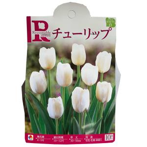 花・球根 　チューリップ [白]　10球入 リーズナブルガリバーシリーズ［秋植え球根］　タキイ種苗　爆買
