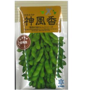 野菜の種/種子 神風香(かみふうか)　超極早生　えだまめ　エダマメ　枝豆　 70ml（メール便発送）雪印種苗｜vg-harada