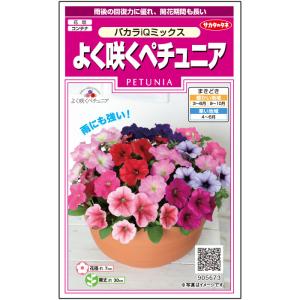 あさがおのたね8000粒 花の種（営利用）アサガオ 朝顔 暁の混合 1000粒 プライマックス種子