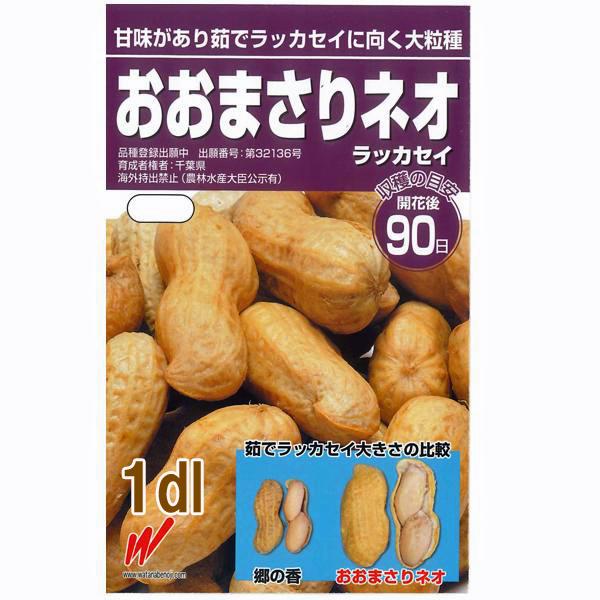 【割引セール！30％OFF ￥1,990→￥1,393】【大人気！】野菜・種/種子　 おおまさりネオ...