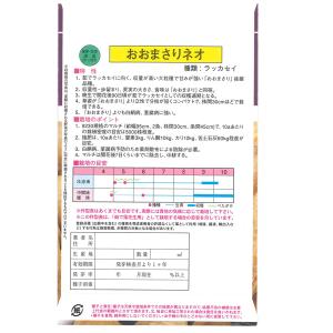 【大人気!】野菜・種/種子 おおまさりネオ 落...の詳細画像1
