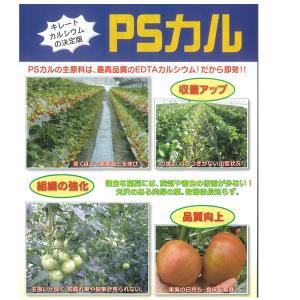 PSカル カルシウム補給剤 1L 園芸用品・肥料の詳細画像2