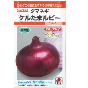 野菜の種/種子 ケルたまルビー・タマネギ 玉ねぎ...の商品画像