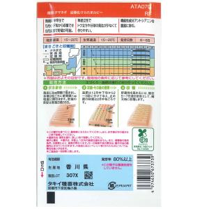野菜の種/種子 ケルたまルビー・タマネギ 玉ね...の詳細画像1