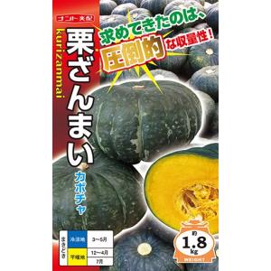 野菜の種/種子 栗ざんまい・カボチャ かぼちゃ　南瓜　 7粒（メール便発送）ナント種苗｜vg-harada