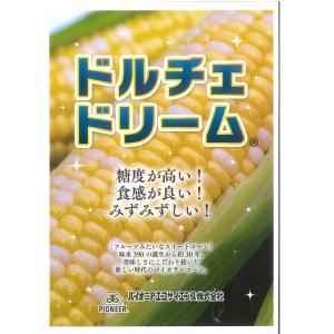 【送料無料!】野菜の種/種子 ドルチェドリーム...の詳細画像2