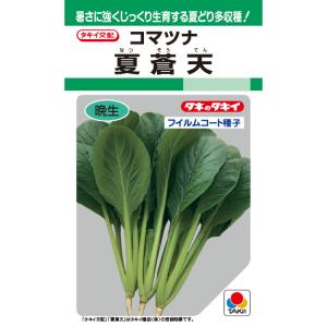 野菜の種/種子 夏蒼天・コマツナ 小松菜 こまつ菜 5ml（メール便発送）タキイ種苗