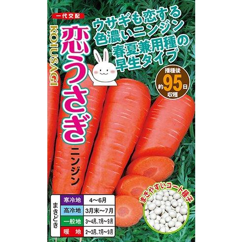 野菜の種/種子　恋うさぎ　ニンジン にんじん　人参　コート250粒　ナント種苗　(メール便発送）