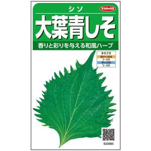 野菜の種/種子 大葉青しそ・シソ 5ml（メール便発送）サカタのタネ　種苗【有効期限2024年10月末日】｜vg-harada