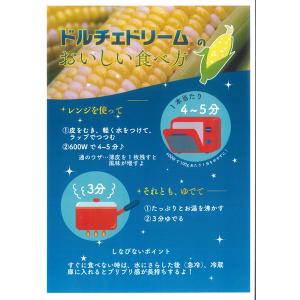 【大人気!】野菜の種/種子 ドルチェドリーム・...の詳細画像4