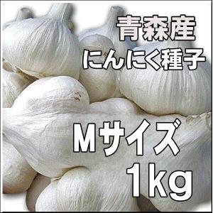 長崎県産 種子用大しょうが 大生姜種 20kg【お徳用】【種生姜】【品質