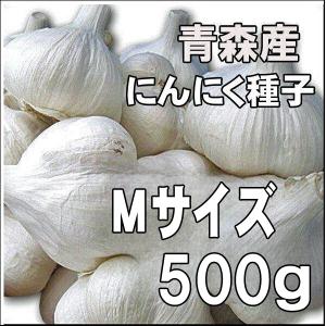 国産 青森県産 ニンニク種子 にんにく種子 福地ホワイト Lサイズ（約13