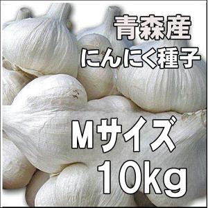 送料無料！】国産 青森県産 ニンニク種子 にんにく種子 福地
