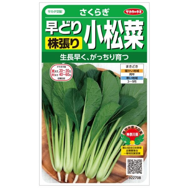 野菜の種/種子 さくらぎ・コマツナ 小松菜 こまつ菜 小袋（メール便発送）サカタのタネ　種苗