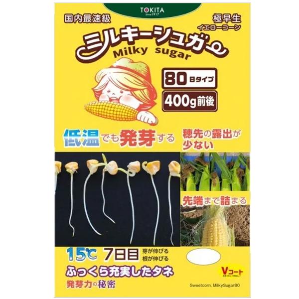 野菜の種/種子　ミルキーシュガー　80日タイプ・とうもろこし　トウモロコシ　スイートコーン　150粒...