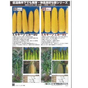 野菜の種/種子 ミルキーシュガー 80日タイプ...の詳細画像5