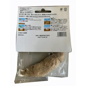 花・球根 ダリア中輪咲 切花用・紫宝 切り花用...の詳細画像1