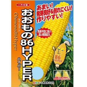 【最安値に挑戦!￥9680→￥7800】野菜の種...の商品画像