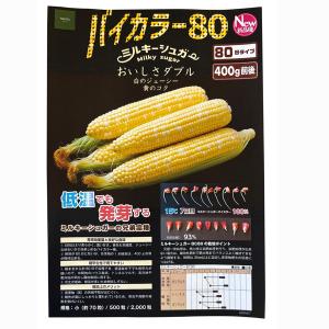 【新商品】野菜の種/種子 ミルキーシュガー バ...の詳細画像2