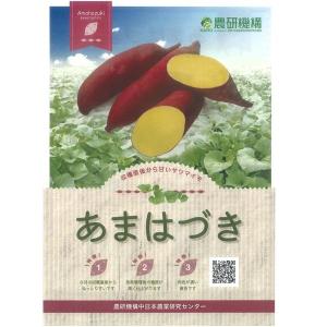 あまはづき・サツマイモ苗 さつまいも苗 さつま...の詳細画像1