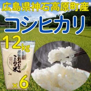 コシヒカリ精米12kg(2kg×6) 令和7年 神石高原町産 粘りと甘さのバランスが絶妙！