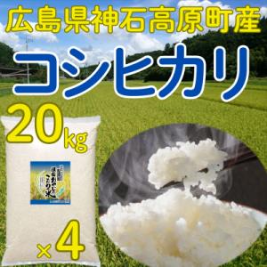 コシヒカリ精米20kg(5kg×4) 令和7年 神石高原町産 粘りと甘さのバランスが絶妙！