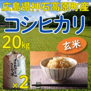 コシヒカリ玄米20kg(10kg×2) 令和7年 神石高原町産 粘りと甘さのバランスが絶妙！