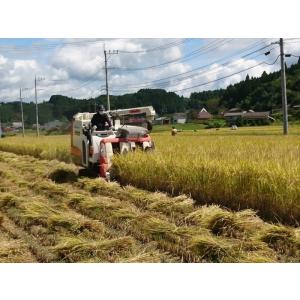 つきあかり 精米20kg(5kg×4個) 令和...の詳細画像4