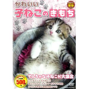 DVD かわいい子ねこのきもち CCP-8007 子猫 子ねこ 猫ちゃん 癒し 肉球 遊び アニマル映像 動物 ペット 猫 飼い猫 いたずら 寝姿 赤ちゃん猫 動物映像 可愛い