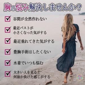 ヌーブラ 盛れるブラジャー 盛れるブラ シリコ...の詳細画像1