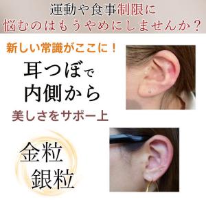 耳つぼシール 粒タイプ 100粒 金属アレルギ...の詳細画像4