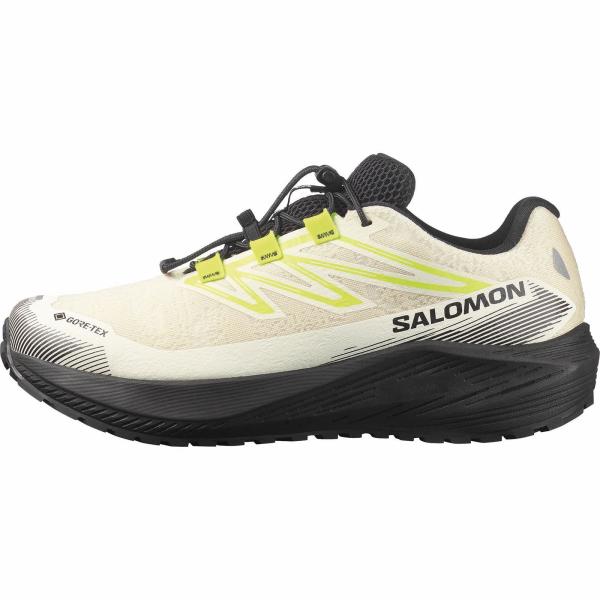 あすつく対応 サロモン SALOMON AERO FLOW GRVL GTX VANILLA ICE...