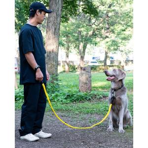 グリ gris WINCH LEASH SHOCK YELLOW 185cm DG0122SY｜vic2