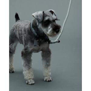 グリ gris THE LEASH LIMESTONE 130cm DG0021LS｜vic2