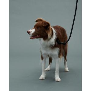 グリ gris THE LEASH PEAT BLACK 130cm DG0021PB｜vic2