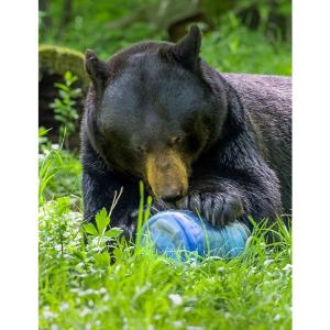ベアボルト BEAR VAULT Trek B...の詳細画像3