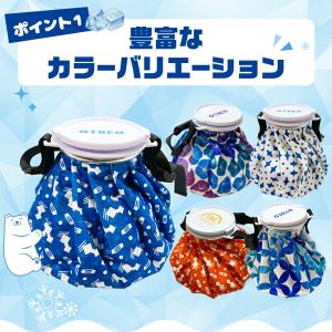 氷のう スプレー付 氷嚢 ベルト付 2000m...の詳細画像2