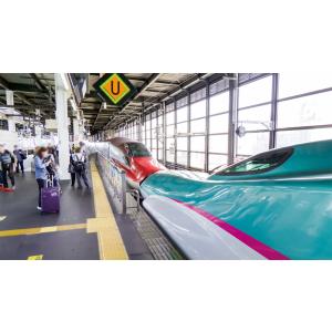 東北新幹線 E5系 はやぶさ 新青森〜東京 ビ...の詳細画像4