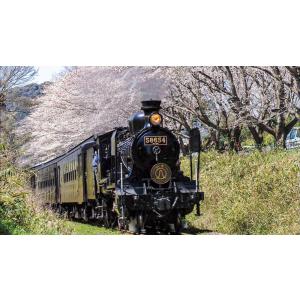 でんしゃでおぼえる あいうえお ビコムストア DVDの詳細画像4