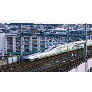 れっしゃだいこうしん2020 キッズバージョン...の詳細画像5