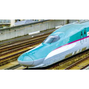 れっしゃだいこうしん2021 キッズバージョン...の詳細画像1